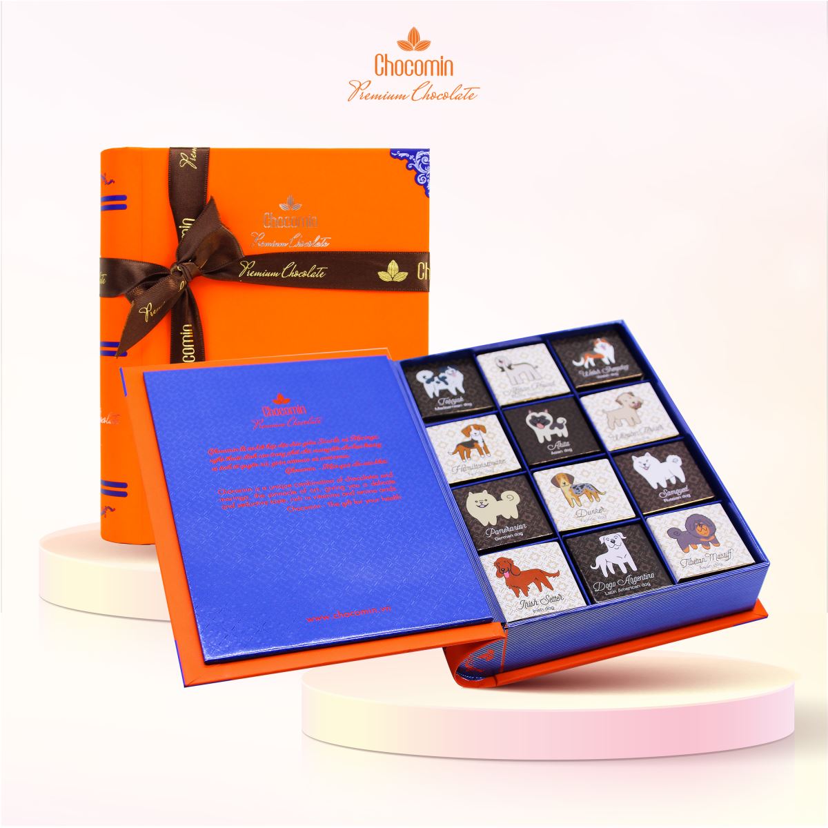 BST hình ảnh chú cún