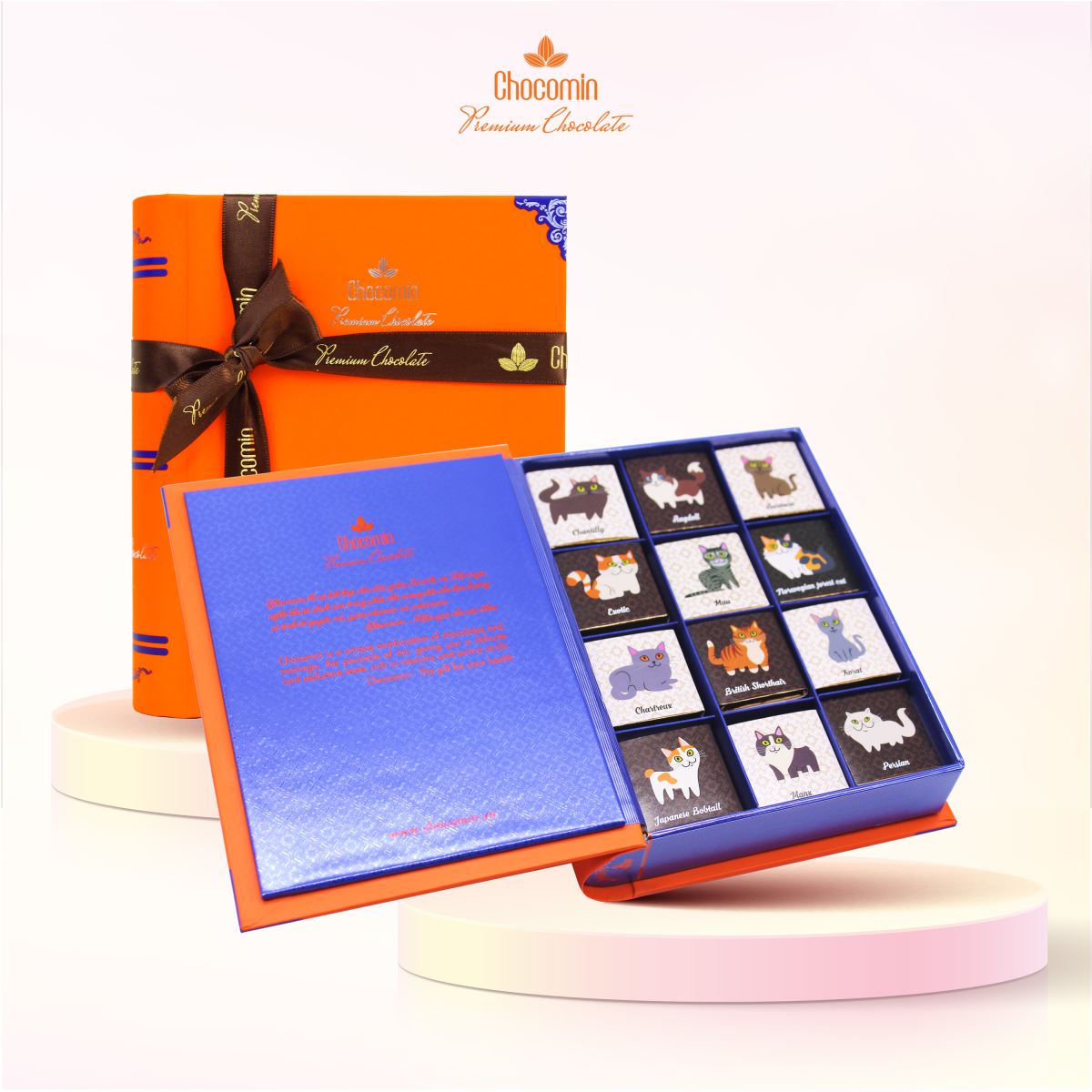 BST hình ảnh chú mèo